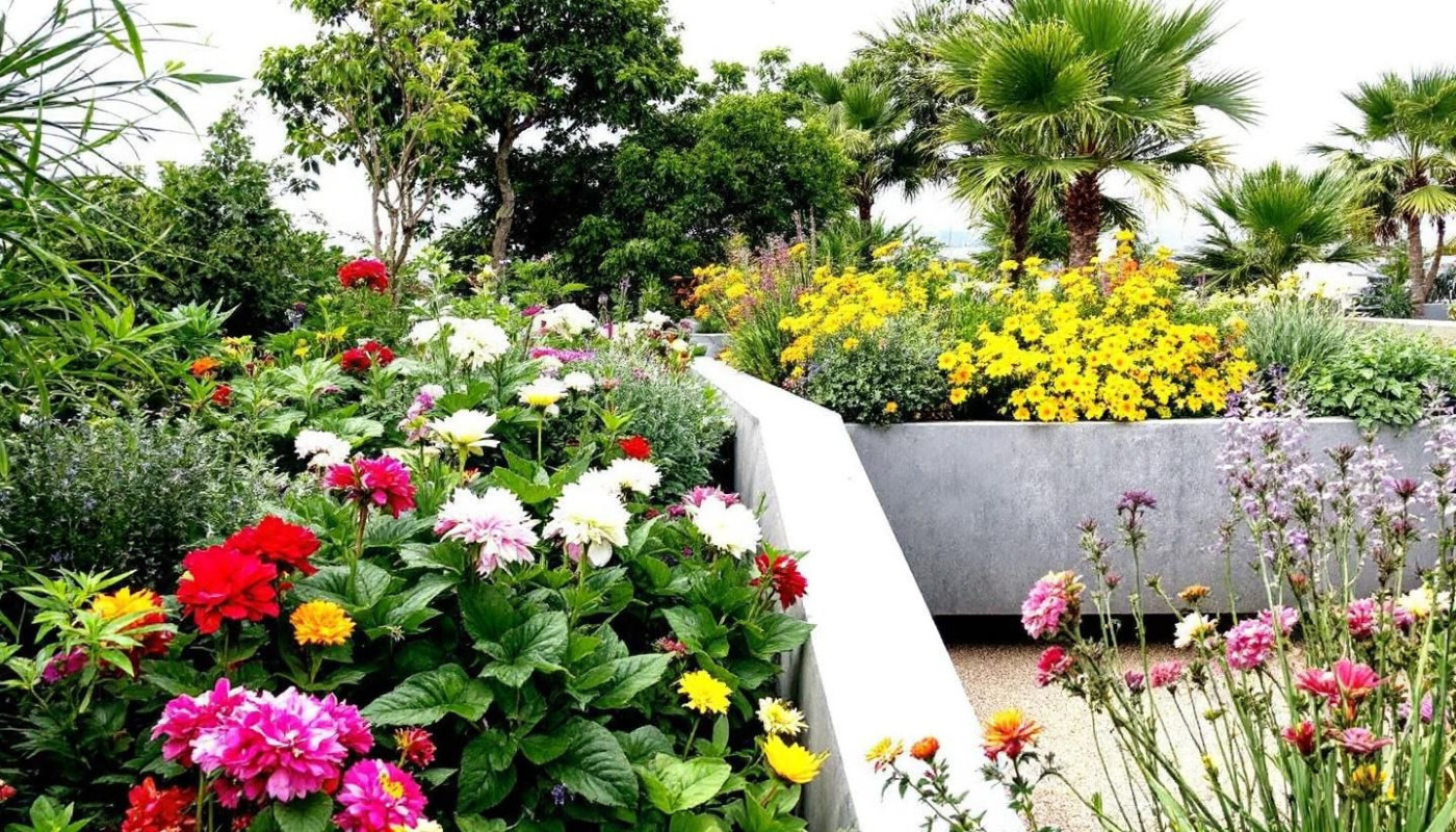 Créer un oasis urbain avec les services de paysagiste à La Rochelle